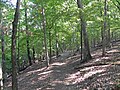 Turkey Ridge Trail