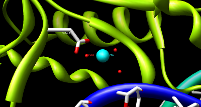 File:BglII catalytic site 2.png