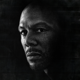 File:Common - Nobody's Smiling (Album).png