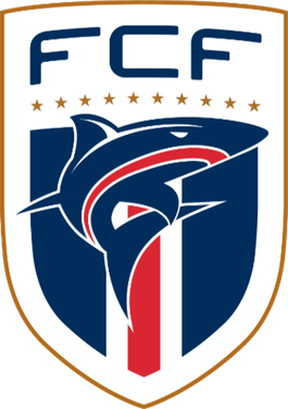 File:Cape Verde FA (2020).png