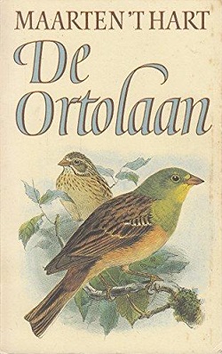 File:DeOrtolaan.jpg