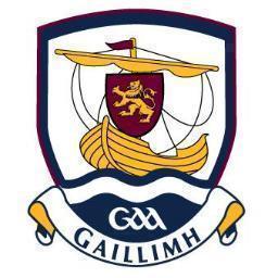 File:Galway GAA crest 2013.jpg