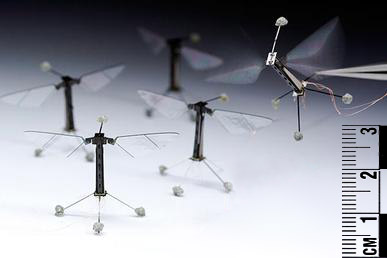 File:RoboBees.jpg