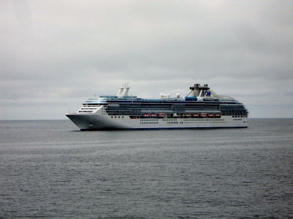 File:Coral princess.jpg