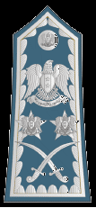 File:Syrian Air Force Rank.png