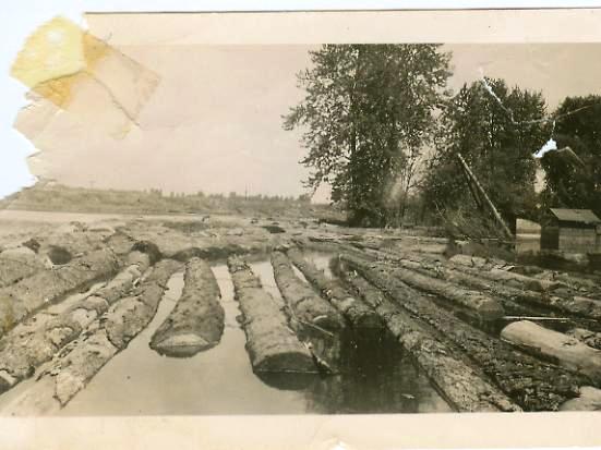 File:Lumber Yard.jpg