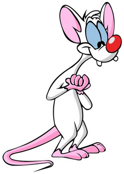 File:PinkyandtheBrain.Pinky.png