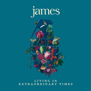 File:Living in Extraordinary Times album cover.jpg