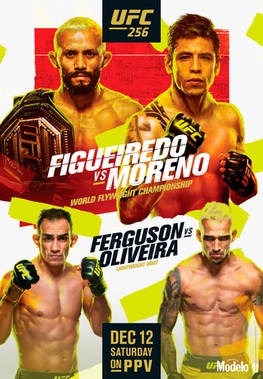 File:UFC 256 poster.jpeg