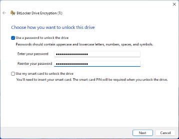 File:Bitlocker setup window screenshot.png