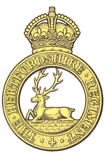 File:Hertfordshire Regiment Capbadge.jpg