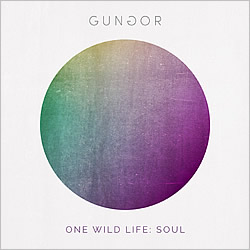 File:One Wild Life - Soul by Gungor.jpg