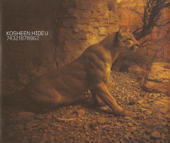 File:Kosheen - Hide U cover.jpg