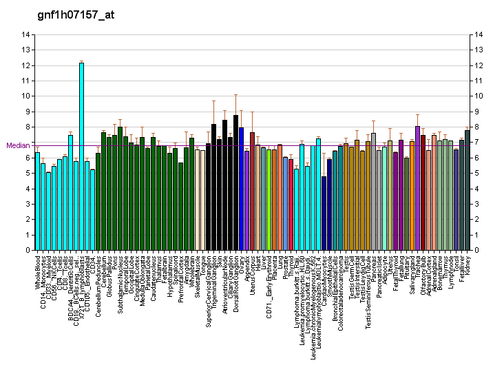 File:PBB GE NIPA1 gnf1h07157 at fs.png