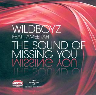 File:The-Sound-of-Missing-You-Wildboyz-featuring-Ameerah.jpg