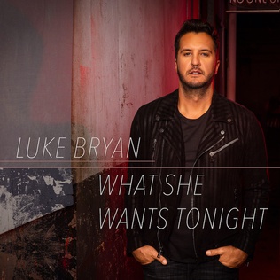 File:Luke-Bryan-What-She-Wants-Tonight.jpg