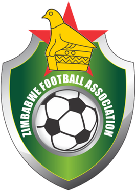 File:Zimbabwe Football Association.png