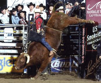 File:Little Yellow Jacket being ridden by Chris Shivers.jpg