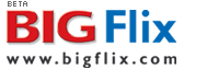 Bigflix (logo).png