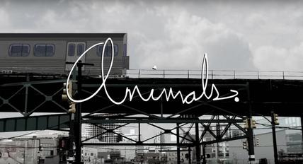 File:Animals. title card.jpg