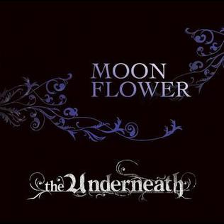 File:Underneath Moonflower.jpg