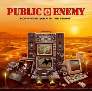 File:Nothing is Quick in the Desert Album Cover.jpg