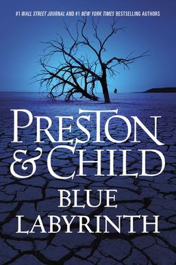 File:Blue Labyrinth bookcover.jpg