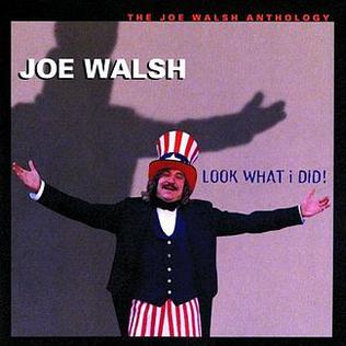 File:Look What I Did album cover by Joe Walsh.jpg