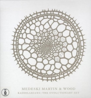 File:MMW Radiolarians Set.jpg