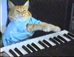 File:Keyboard cat.jpg