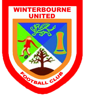 File:Winterbourne United F.C. logo.png