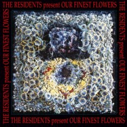 File:Resdidents finest flowers cover.jpg