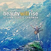 Beauty Will Rise cover.jpg