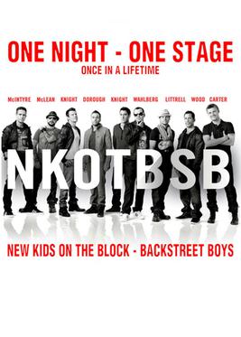 File:Nkotbsb tourimage.jpg