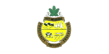 File:Pitt Meadows BC old flag.gif