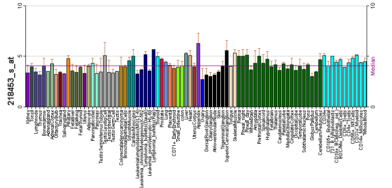 File:PBB GE C6orf35 218453 s at tn.png