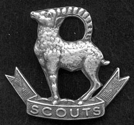 File:Emblem of Ladakh Scouts.jpg