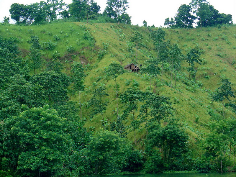 File:Green Grass Hills and Houses.jpg