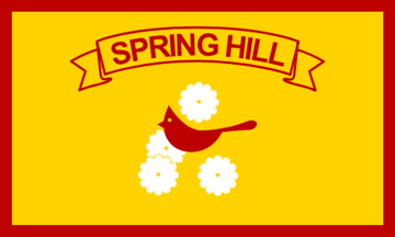 File:Flag of Spring Hill, Florida.png