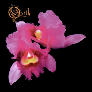 File:Opeth Orchid.jpg