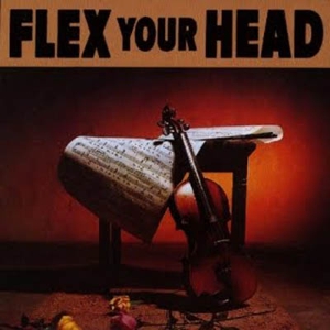 File:VA FlexYourHeadLP altcover.jpeg