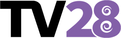 File:WTV28 logo.png