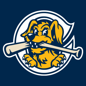 File:RiverDogs cap.png