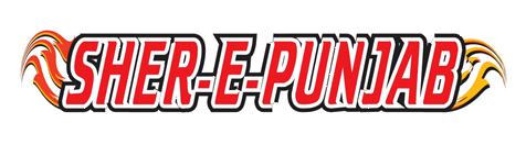 File:Sher-e-Punjab Logo.png