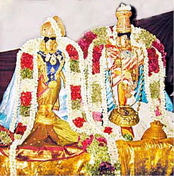 Lord Narayana and Nachiyar in the village during the festival