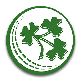 File:Ireland cricket team logo.png