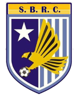 File:Somerset Eagles R.C. logo.png