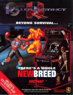 Arcade flyer