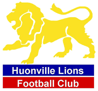 File:Huonville lions logo.png