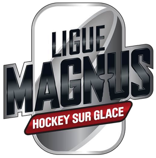 File:Ligue Magnus 2013 logo.png